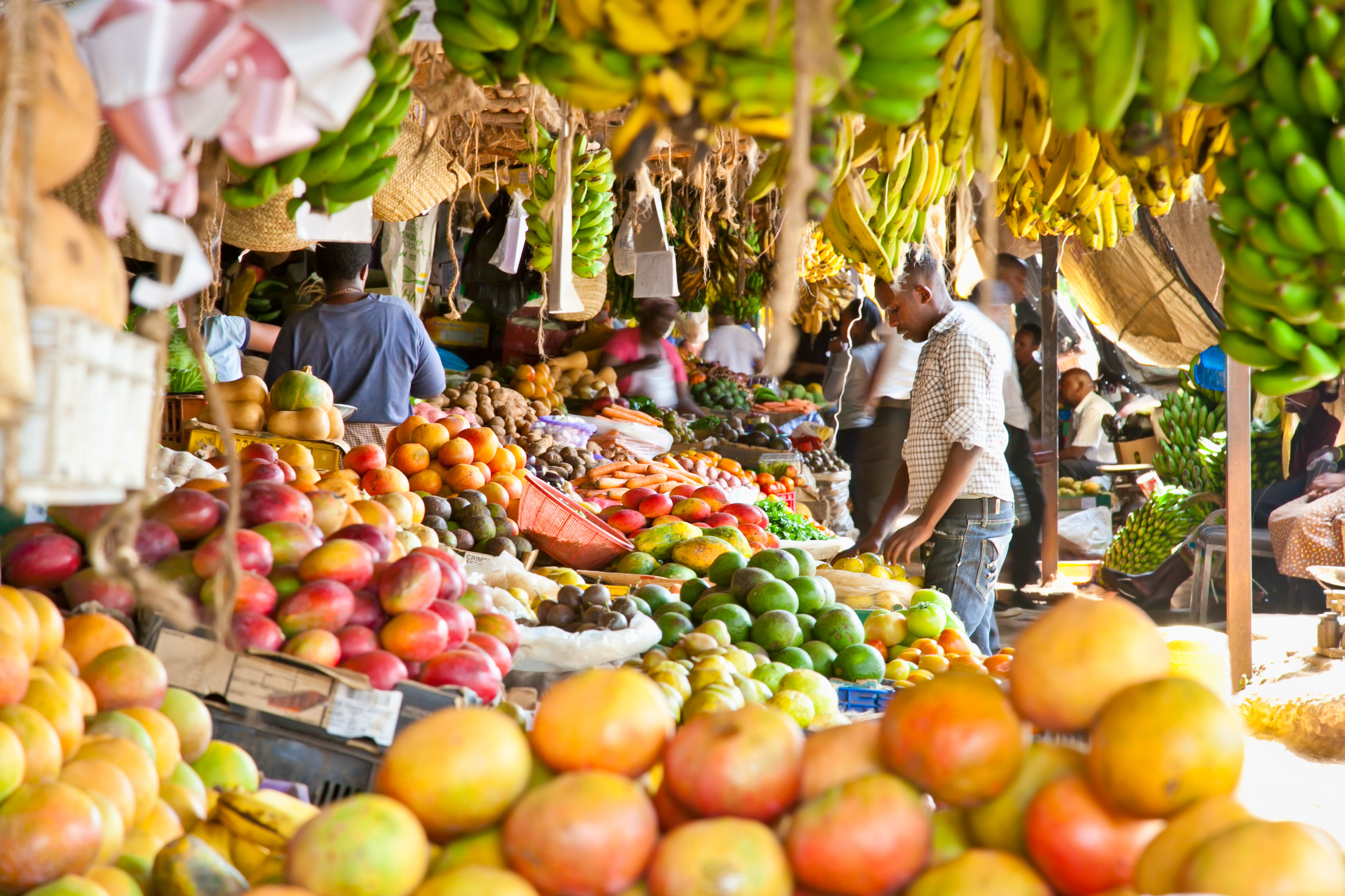 Import food regulations and trends in Africa: Navigating the gastronomic frontier